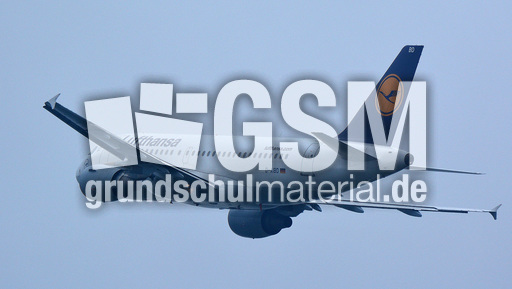 Airbus A319-100_3.jpg